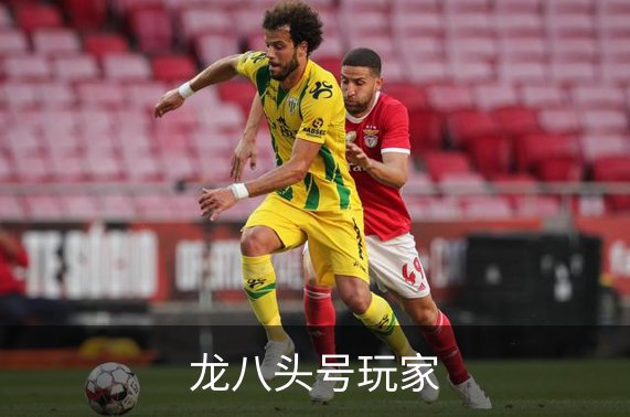 企业简介